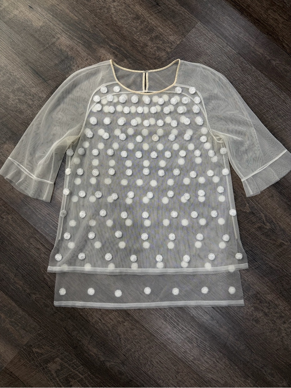 Sheer floral Polka Dot Overlay Top in Cream